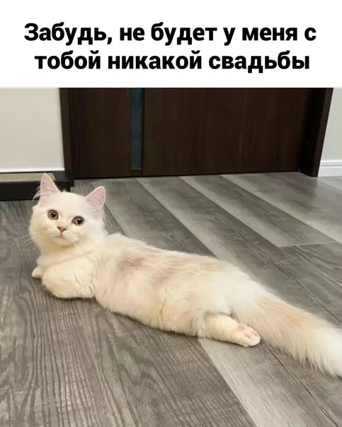 Смешная картинка №568051