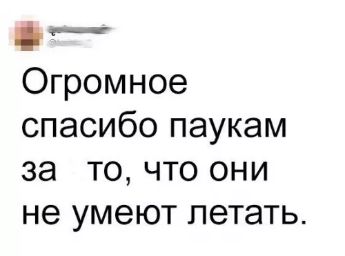Смешная картинка №209868 паук