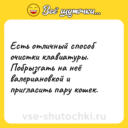 Шутка: Есть отличный способ очистки клавиатуры. Побрызгать на неё валериановкой и пригласить пару кошек.