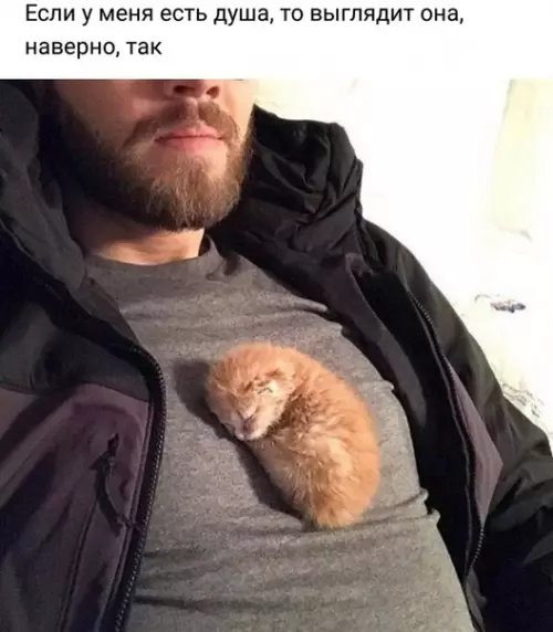 Смешная картинка №356573