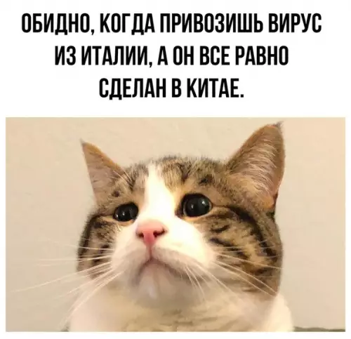 Смешная картинка №476397 Действительно, обидно