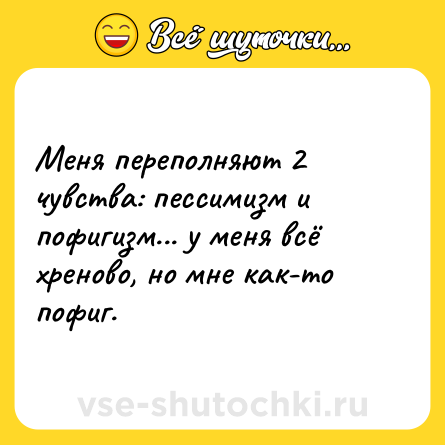 Шутка: Меня переполняют 2 чувства: пессимизм и пофигизм... у меня всё хреново, но мне как-то пофиг.