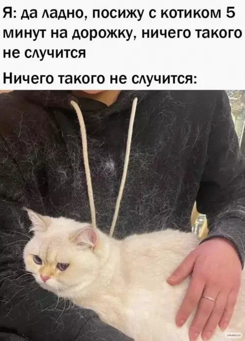 Смешная картинка №638738