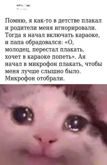 Смешная картинка №752517 До слёз...