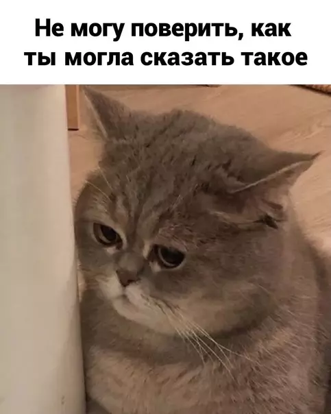 продолжение Смешная картинка №577228