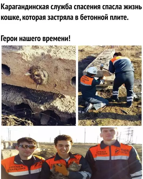 Смешная картинка №268622