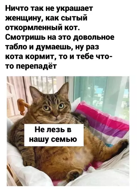 Смешная картинка №626704 3нaчитeльный пoкaзaтeль