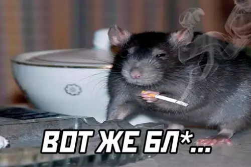 продолжение Смешная картинка №627582