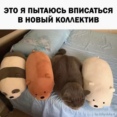 Смешная картинка №661640