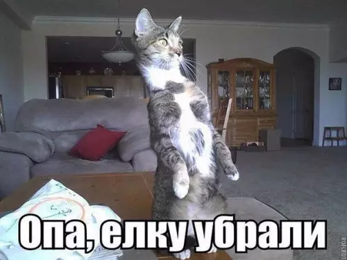 Смешная картинка №238164