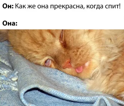 Смешная картинка №493627