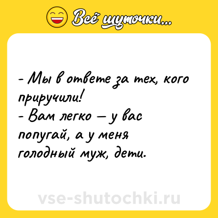 Шутка: - Мы в ответе за тех, кого приручили!<br>- Вам легко — у вас попугай, а у меня голодный муж, дети.
