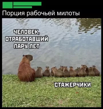 Смешная картинка №751688 Работа