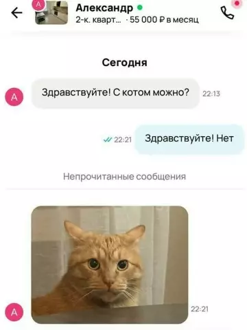 Кот — это не аргумент 🐱❌ - Здравствуйте! С котом можно? Здравствуйте! Нет