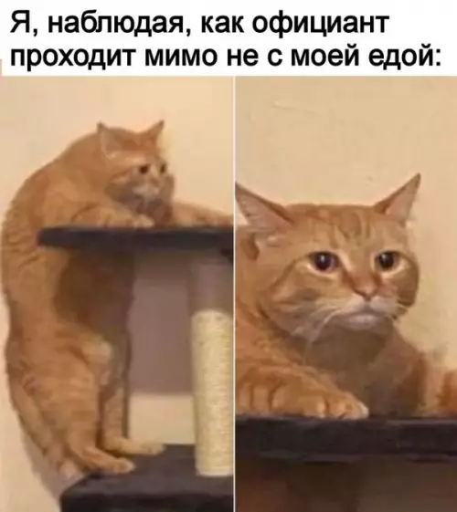 Смешная картинка №649640