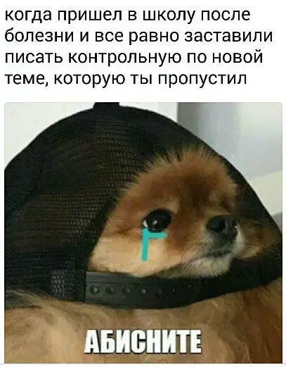 Смешная картинка №220934