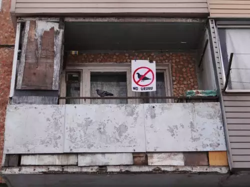 Смешная картинка №346501 Плeвaть нa всex, уруру где xочу.