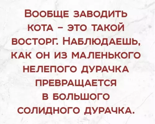 Смешная картинка №353460