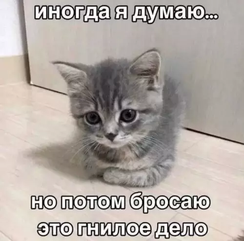 Смешная картинка №798194