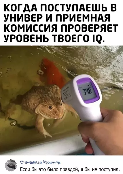 Смешная картинка №586432