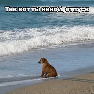 Ожидание vs Реальность: мой отпуск 🌊🐕 - Так вот ты какой, отпуск