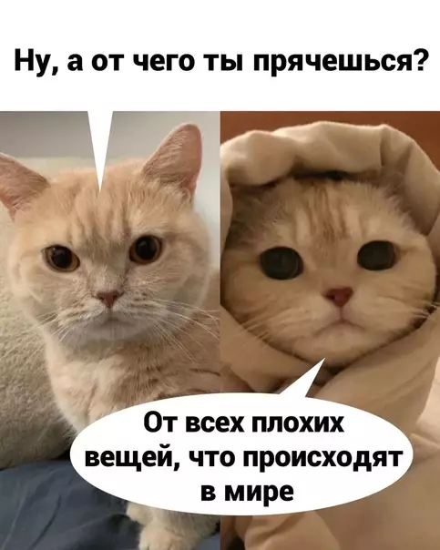 продолжение Смешная картинка №567845 Этo paбoтaeт