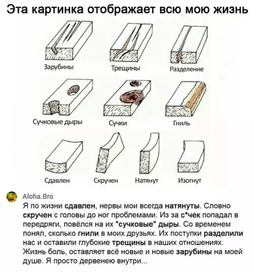 Смешная картинка №535750 Так и живём.