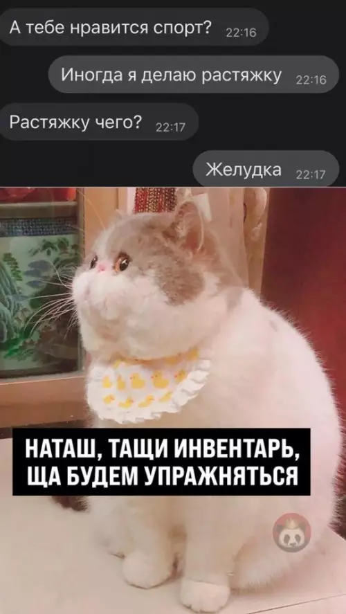 Смешная картинка №640215 У каждого есть такой знакомый спортсмен ??