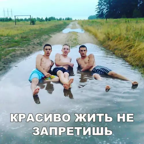 Смешная картинка №174021 Красивая жизнь