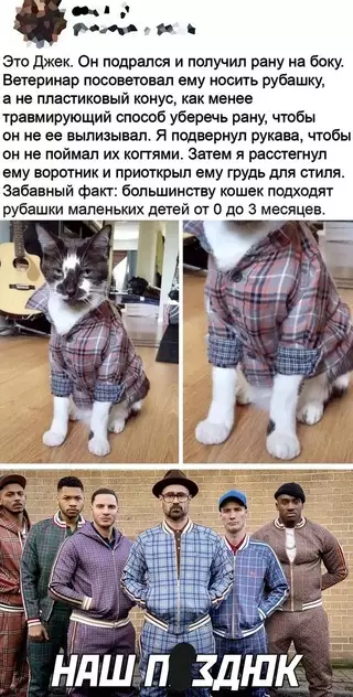 Смешная картинка №720890