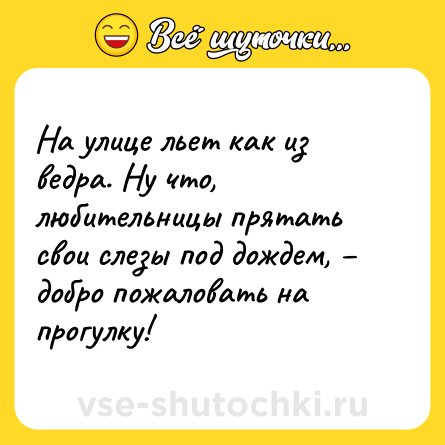 Шутка: На улице льет как из ведра. Ну что, любительницы прятать свои слезы под дождем, – добро пожаловать на прогулку!