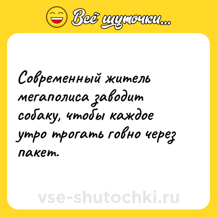 Шутка: Современный житель мегаполиса заводит собаку, чтобы каждое утро трогать говно через пакет.