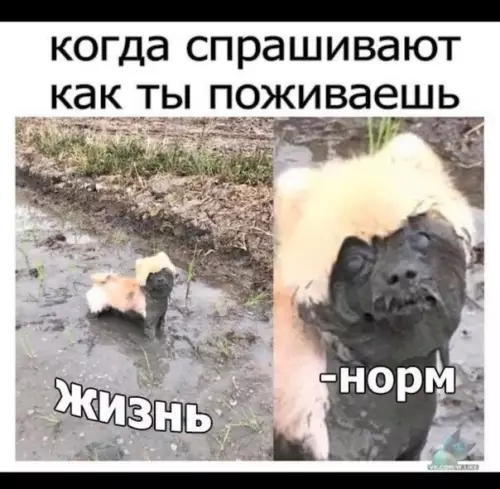 Смешная картинка №388002