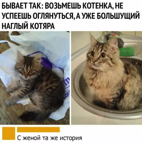 Смешная картинка №378700