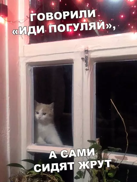 Смешная картинка №400261
