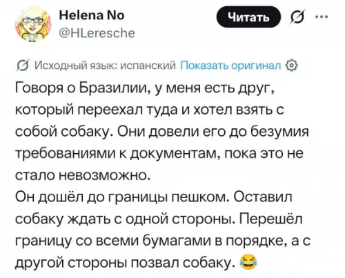 Как перевезти собаку без бюрократии 🐶😂 - Говоря о Бразилии, у меня есть друг, который переехал туда
