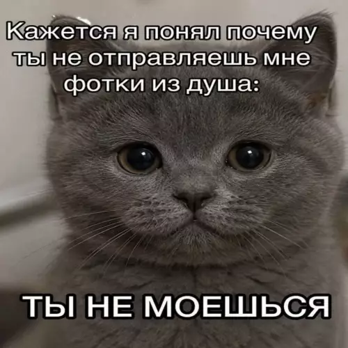 Тайная причина твоего молчания 🐱🚿 - Кажется я понял почему ты не отправляешь мне фотки из
