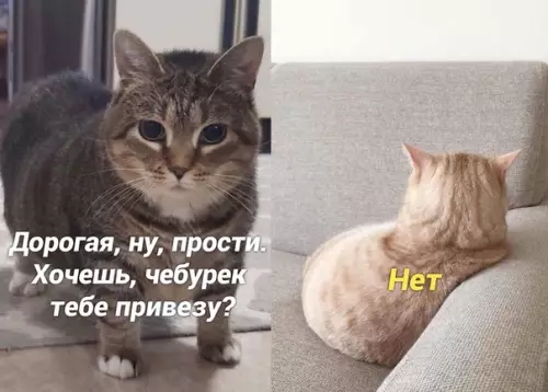 Смешная картинка №519131