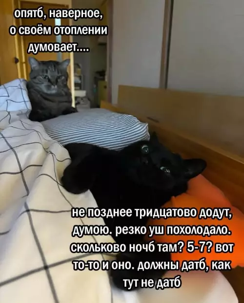 Смешная картинка №784688