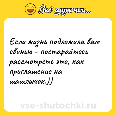 Шутка: Если жизнь подложила вам свинью - постарайтесь рассмотреть это, как приглашение на шашлычок.))