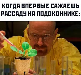 Смешная картинка №718154