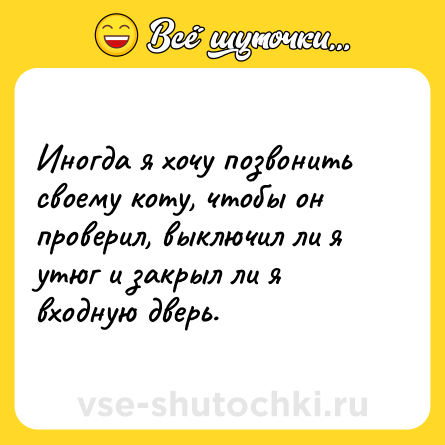 Шутка: Иногда я хочу позвонить своему коту, чтобы он проверил, выключил ли я утюг и закрыл ли я входную дверь.