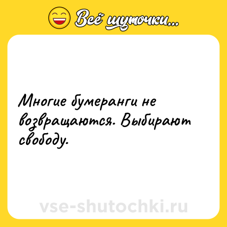 Шутка: Многие бумеранги не возвращаются. Выбирают свободу.