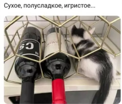 Смешная картинка №720751 Идеальное сочетание