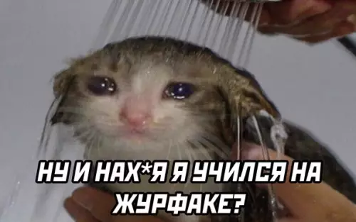 продолжение Смешная картинка №573304