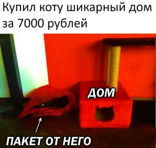 Смешная картинка №301209