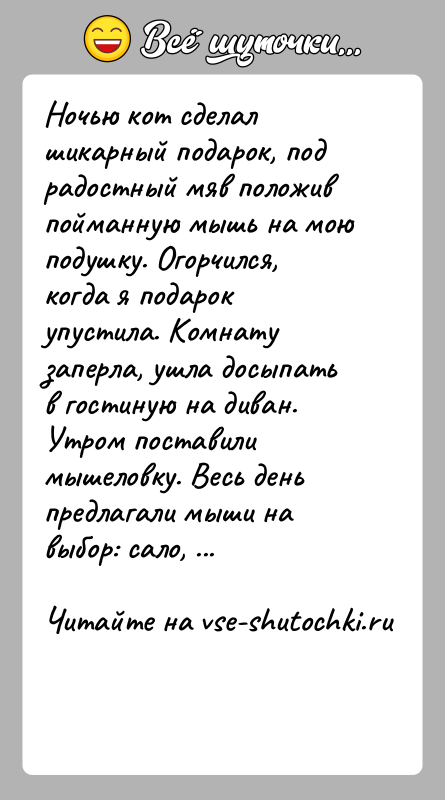 История: Ночью кот сделал шикарный подарок, под радостный мяв положив пойманную мышь на мою подушку. Огорчился, когда я подарок упустила. Комнату