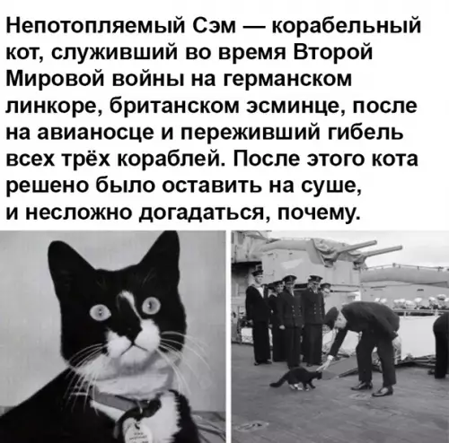 Смешная картинка №373312