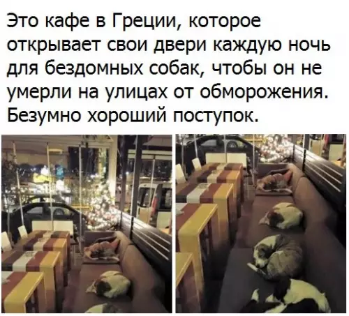 Смешная картинка №177362