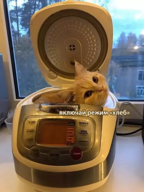 Смешная картинка №704516